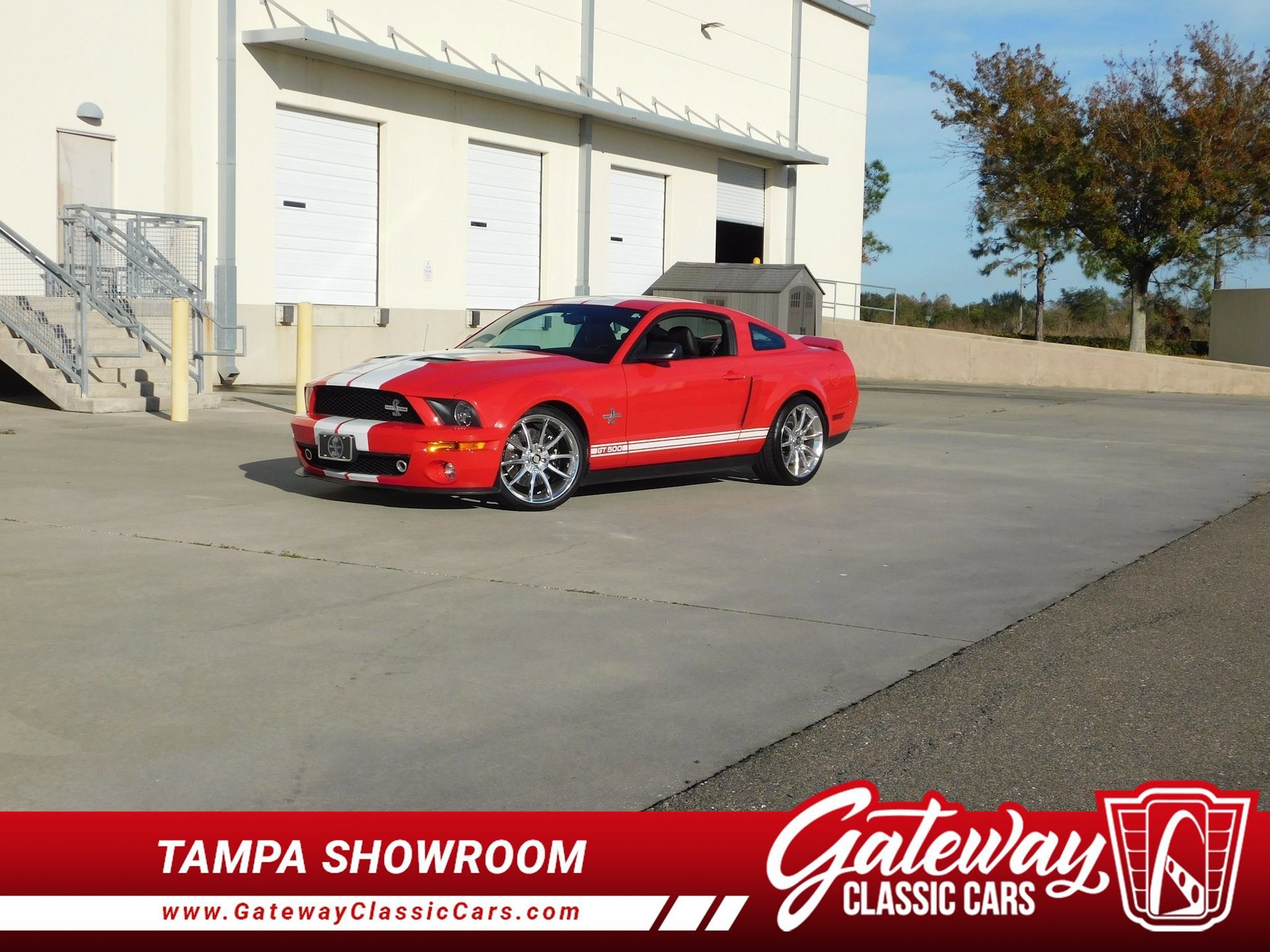 Used 2008 Ford Mustang Shelby GT500