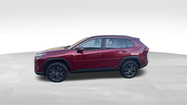 2023 Toyota Rav4 XLE Premium