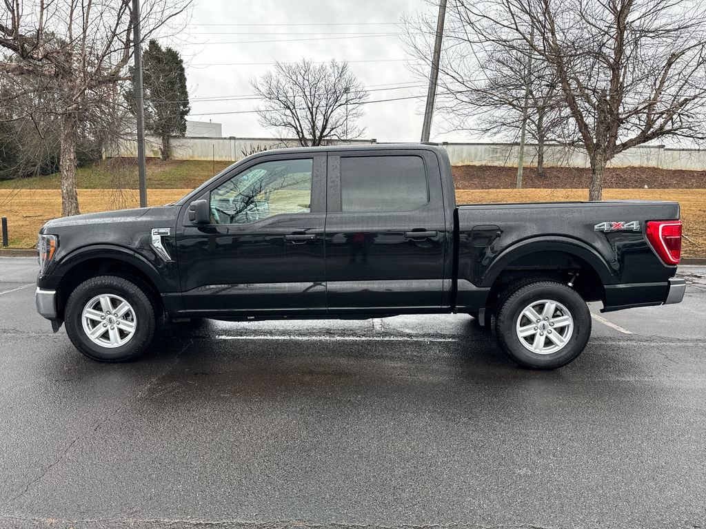 2023 Ford F150 XLT