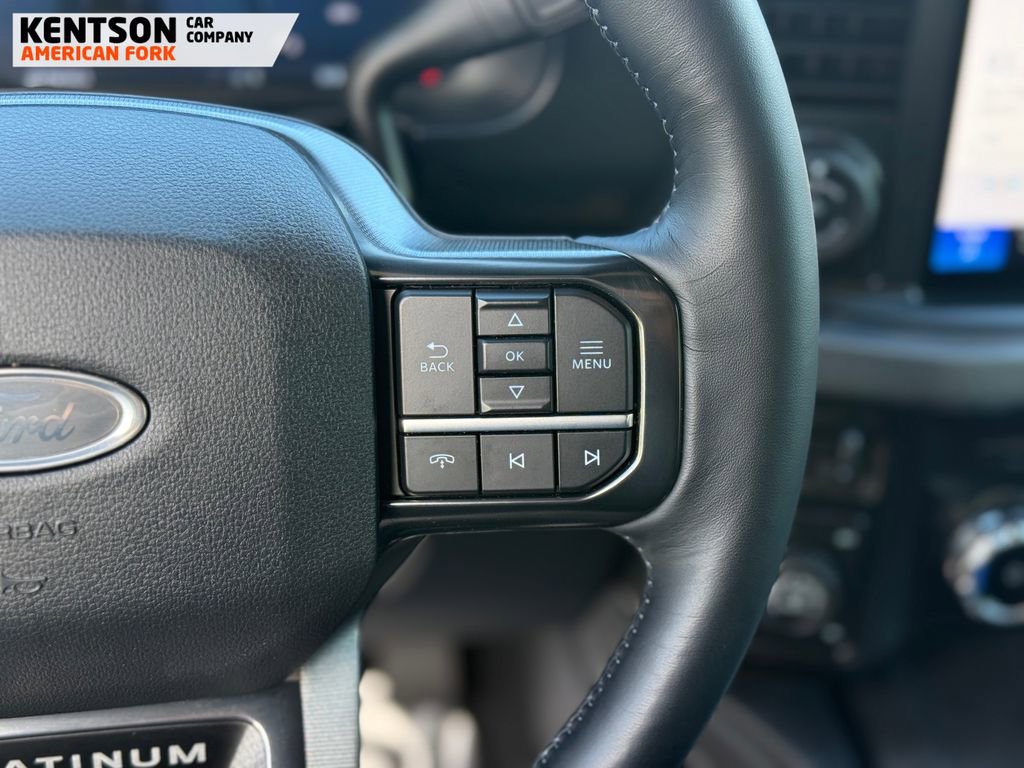 2025 Ford F250 Platinum