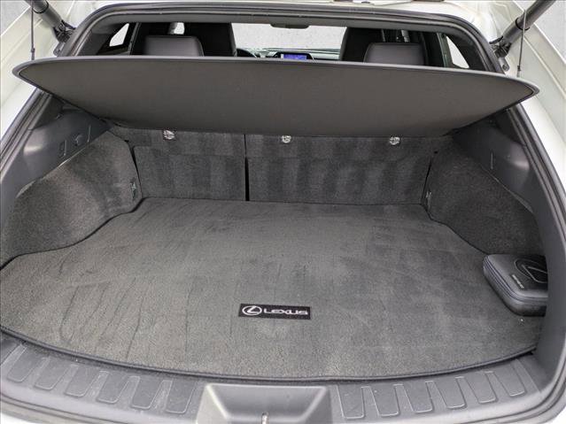 2024 Lexus UX 250h FWD