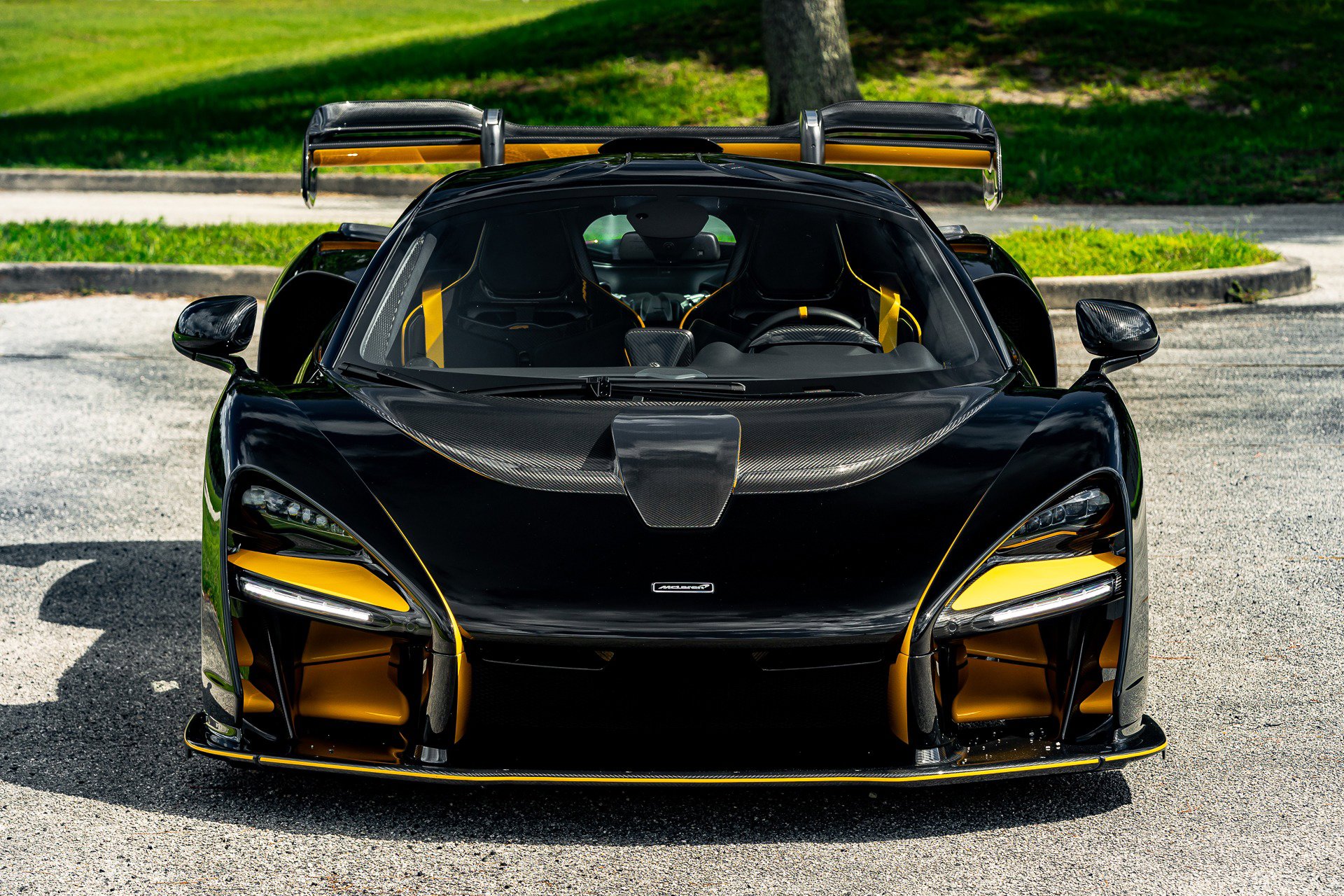 Used 2019 McLaren Senna photo 99