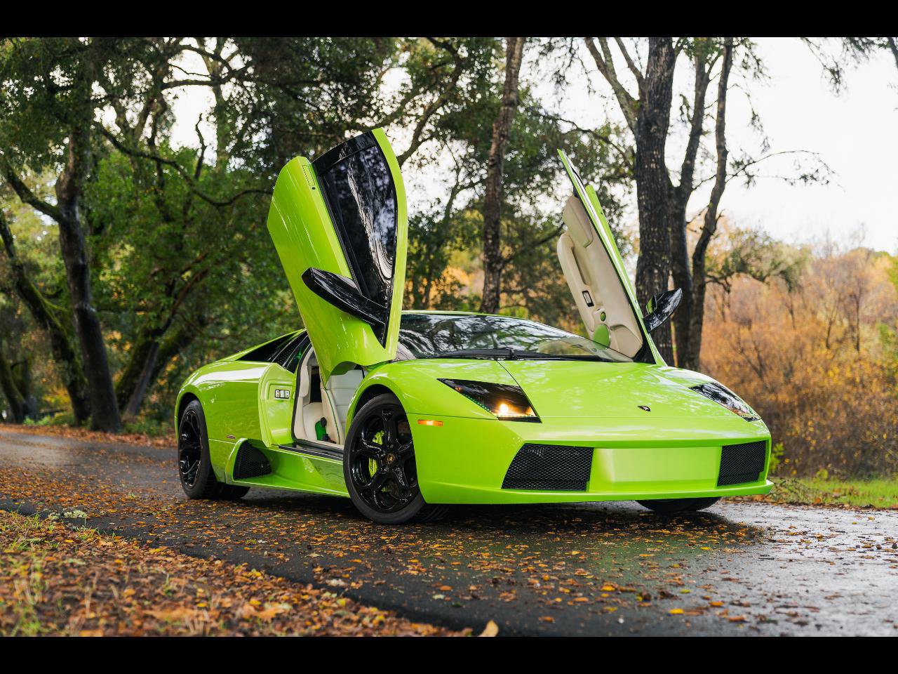 Used 20 Lamborghini Murcielago for Sale   Autotrader