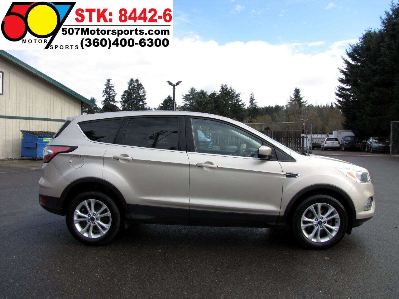 2017 Ford Escape SE