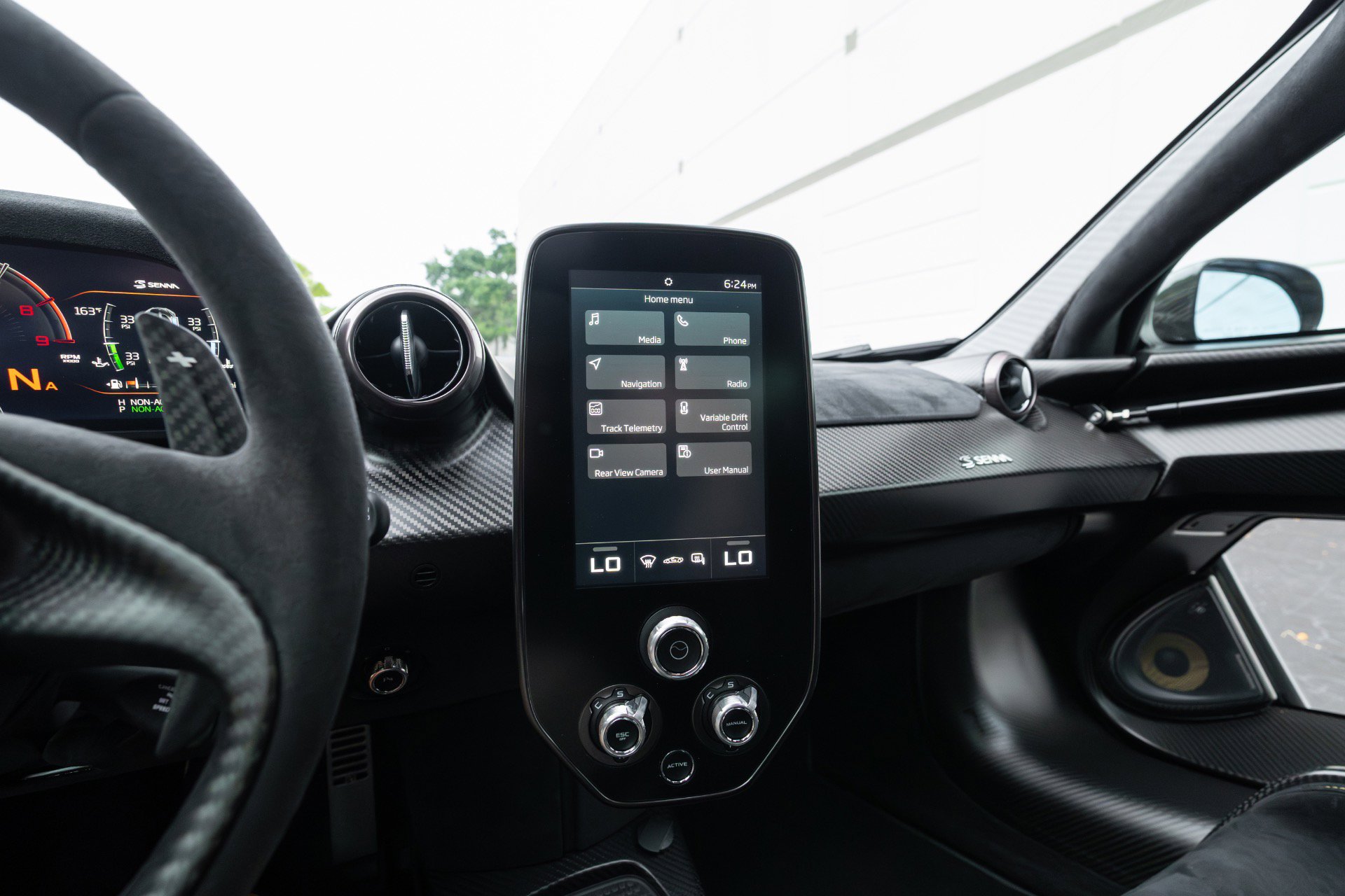 Used 2019 McLaren Senna photo 96