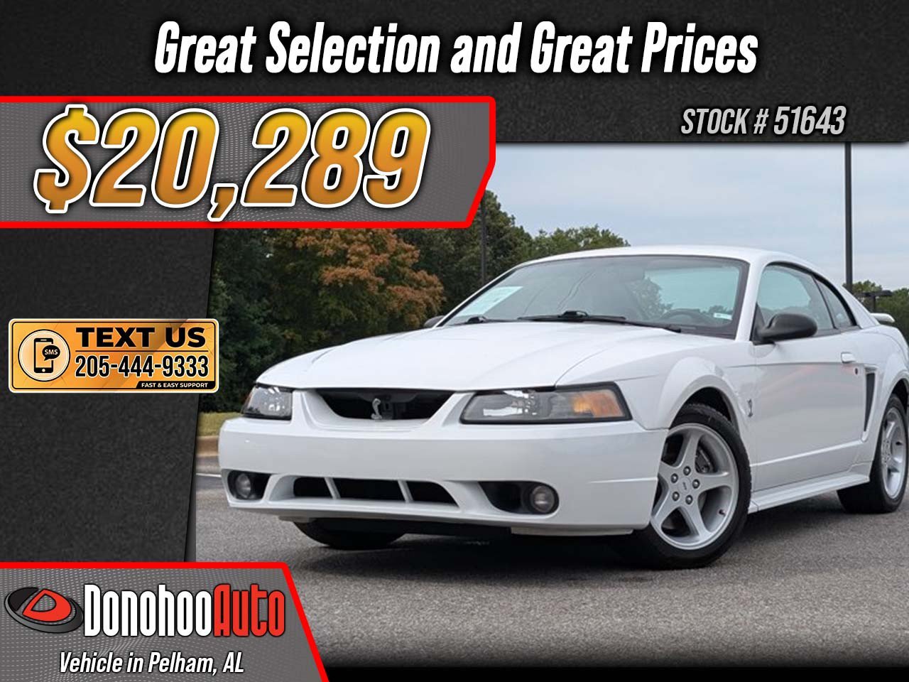 Used 2001 Ford Mustang Cobra