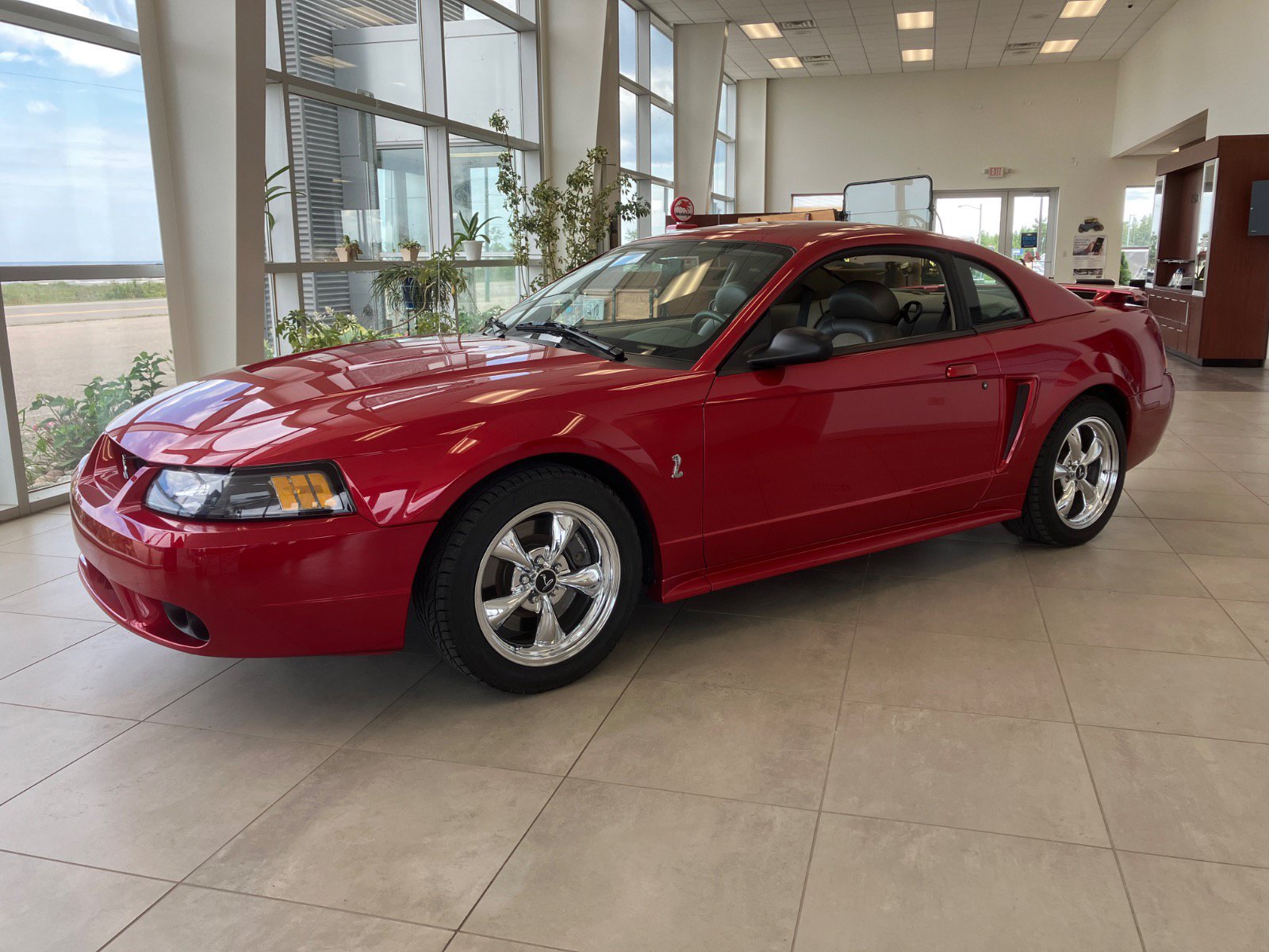 Used 2001 Ford Mustang Cobra