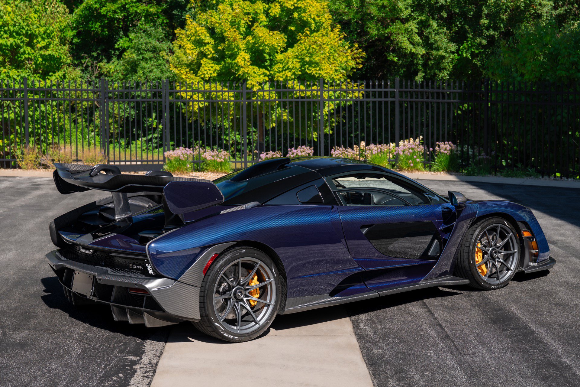 Used 2019 McLaren Senna photo 48
