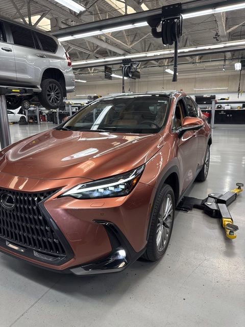Used 2025 Lexus NX 350h AWD w/ Cold Area Package