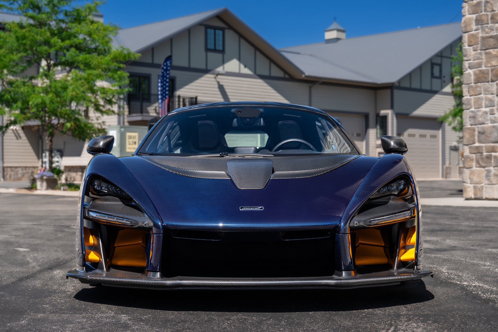 Used 2019 McLaren Senna photo 11