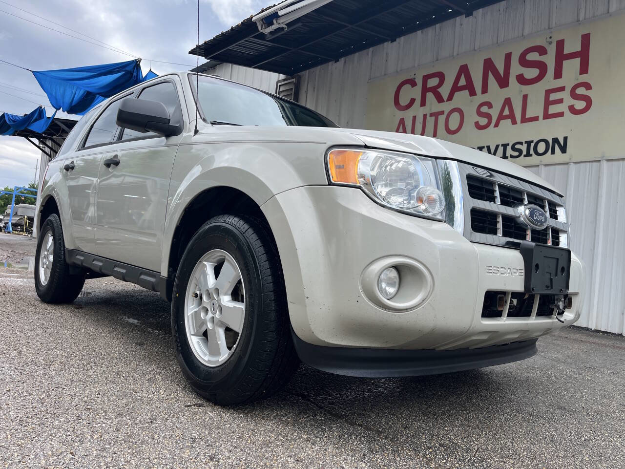 2009 Ford Escape XLT