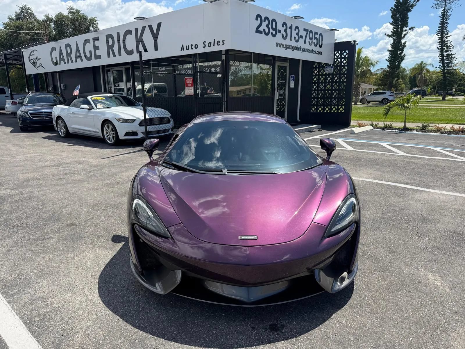 Photo 4
