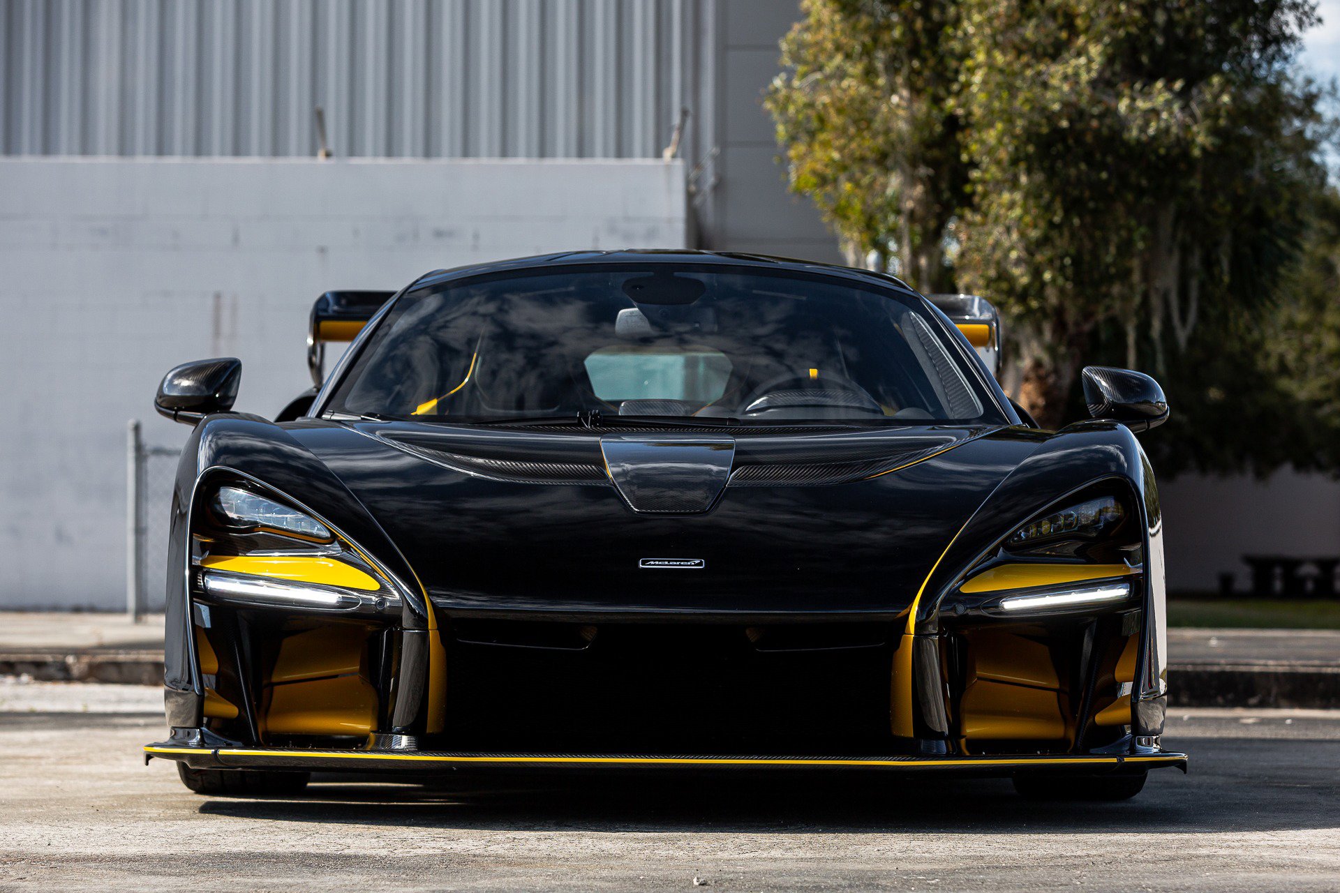 Used 2019 McLaren Senna photo 40