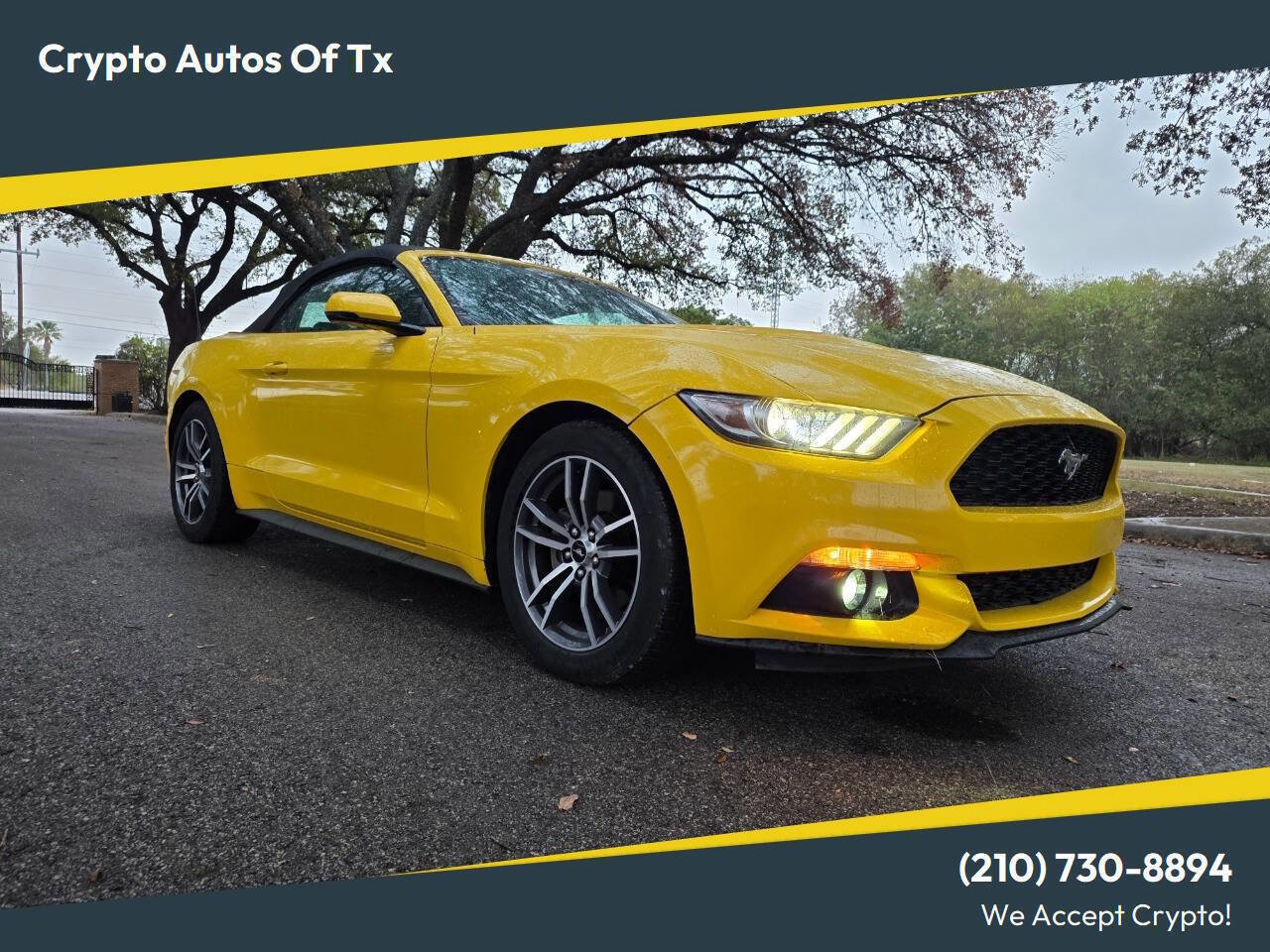 Used 2017 Ford Mustang for Sale in Cibolo, TX - Autotrader