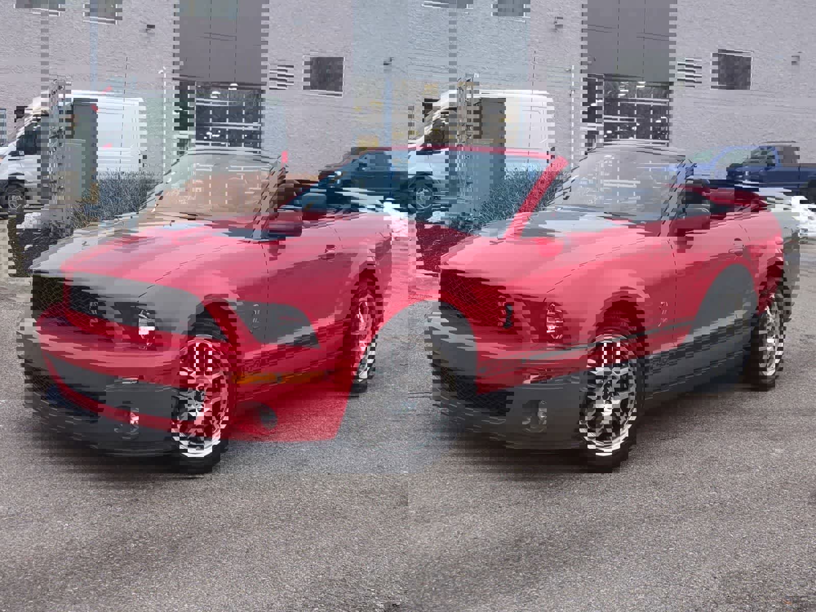 Used 2008 Ford Mustang Shelby GT500