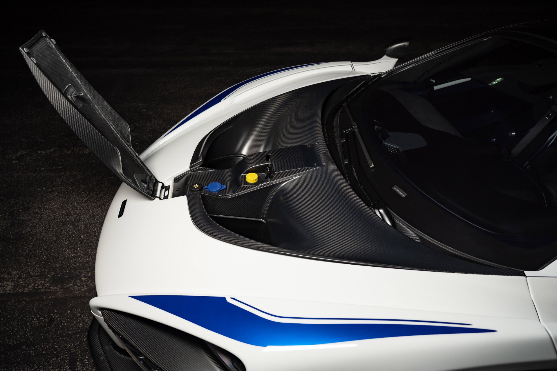 Used 2019 McLaren Senna photo 66