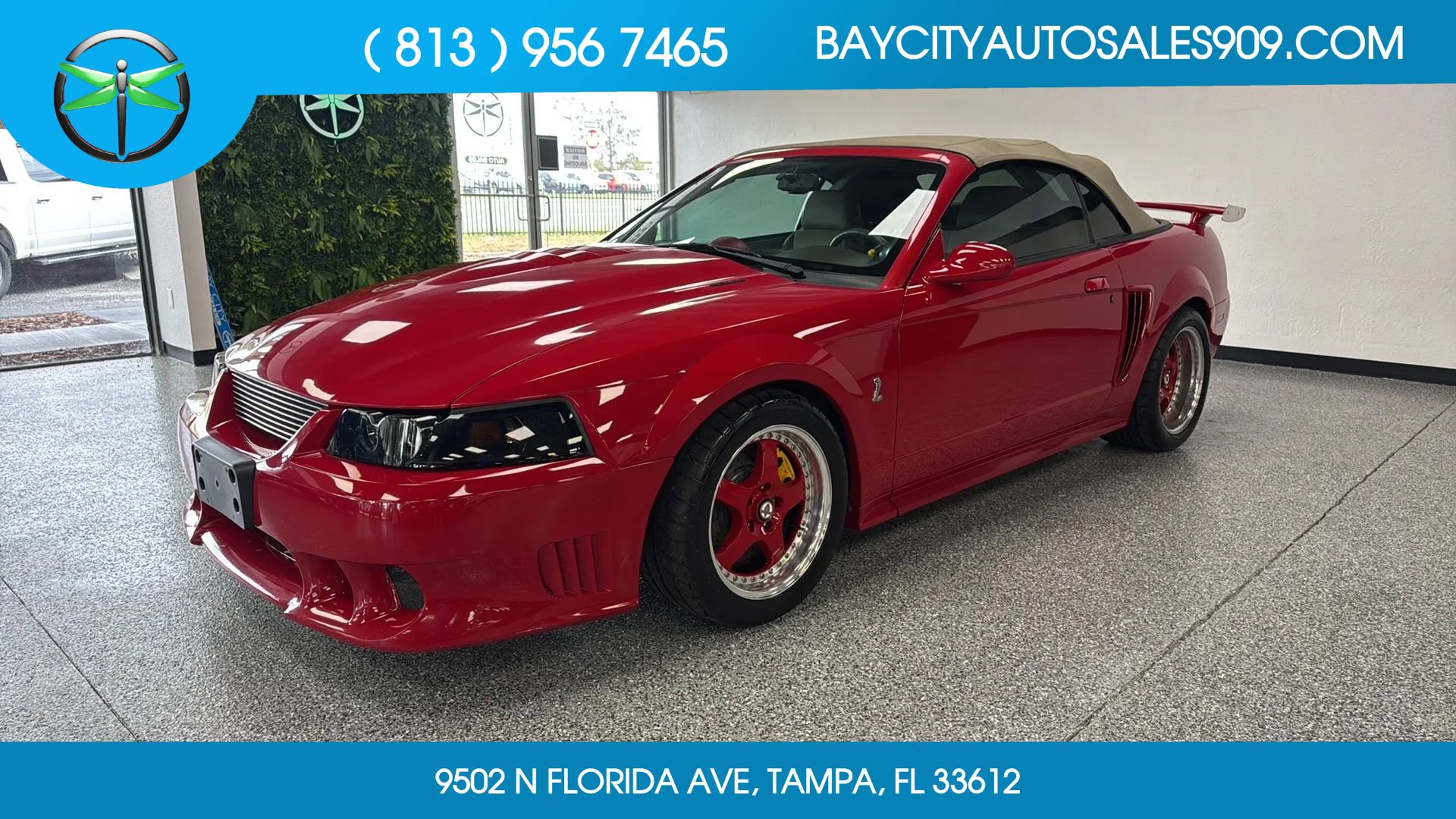 Used 1999 Ford Mustang Cobra
