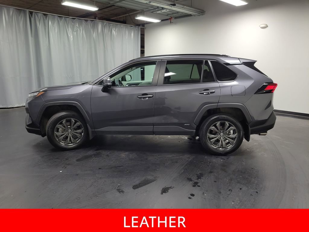 2025 Toyota Rav4 XLE Premium