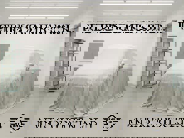 Used 2020 Lexus RX 350 F Sport w/ Cold Weather Package