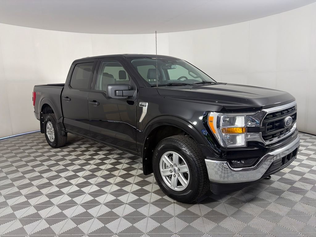 2023 Ford F150 XLT