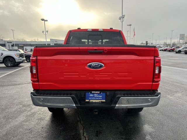 2023 Ford F150 XLT