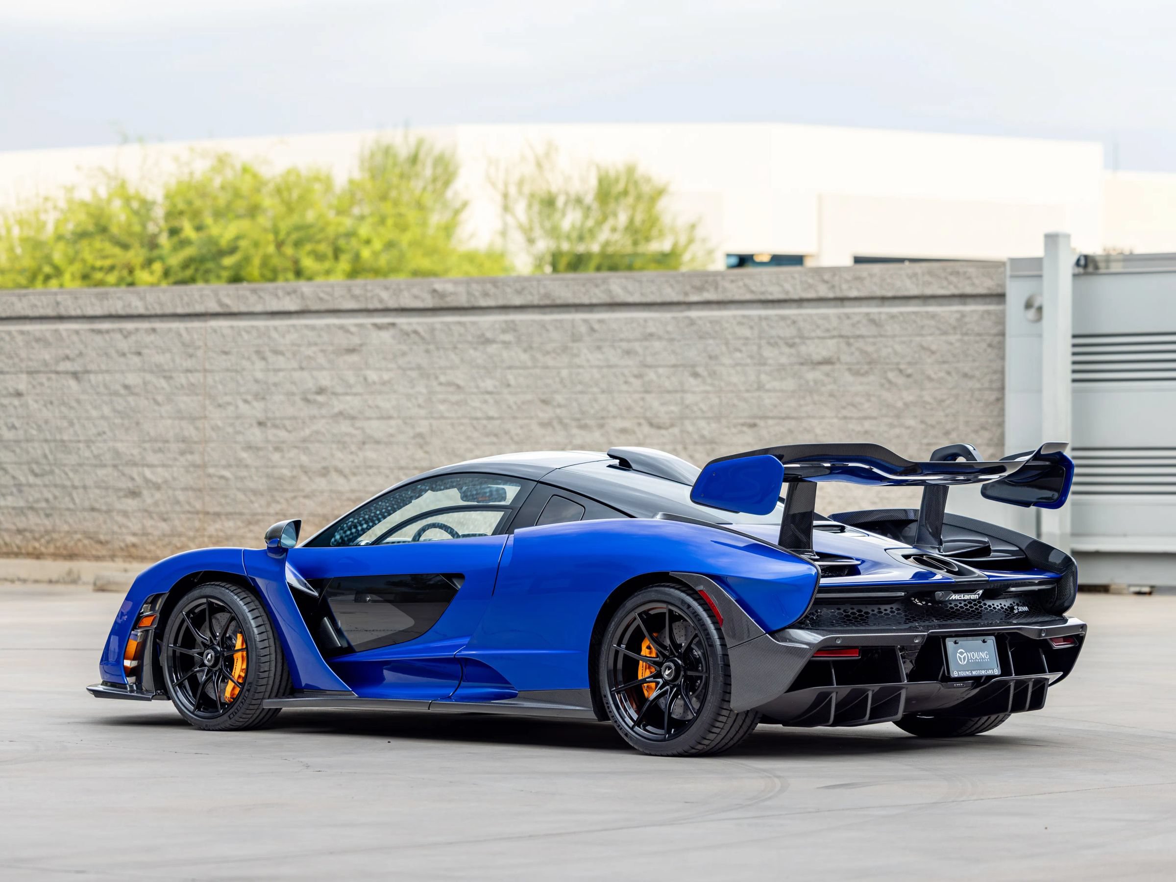 Used 2019 McLaren Senna photo 6