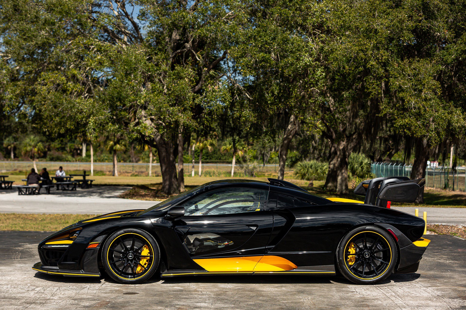 Used 2019 McLaren Senna photo 11