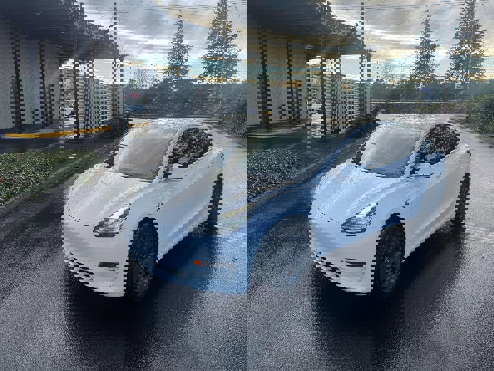 2020 Tesla Model 3 Standard Range Plus