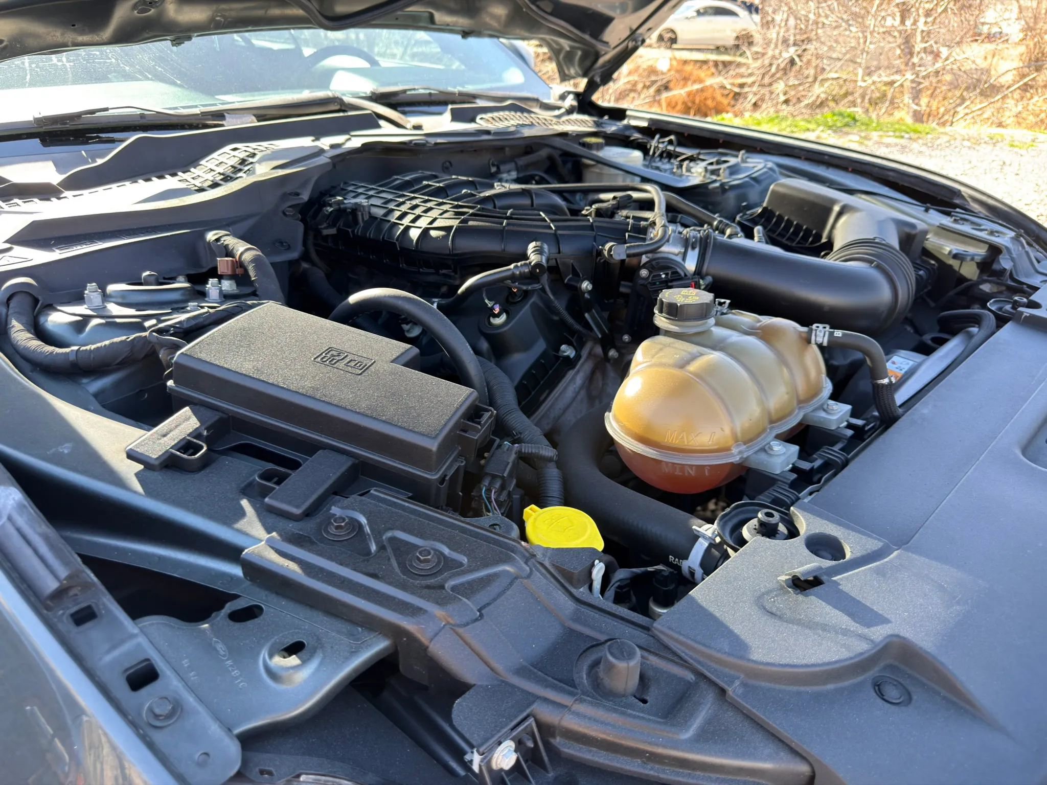 2015 Ford Mustang Convertible