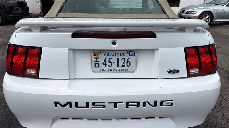 Photo 5