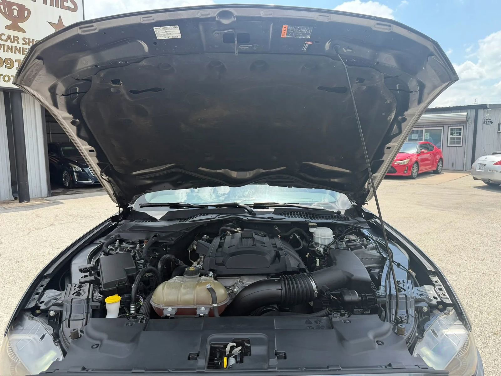 2019 Ford Mustang Coupe