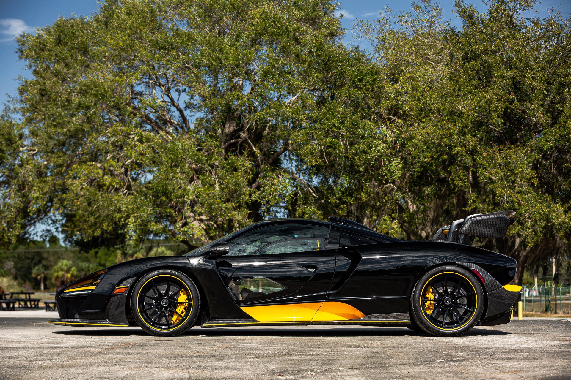 Used 2019 McLaren Senna photo 10