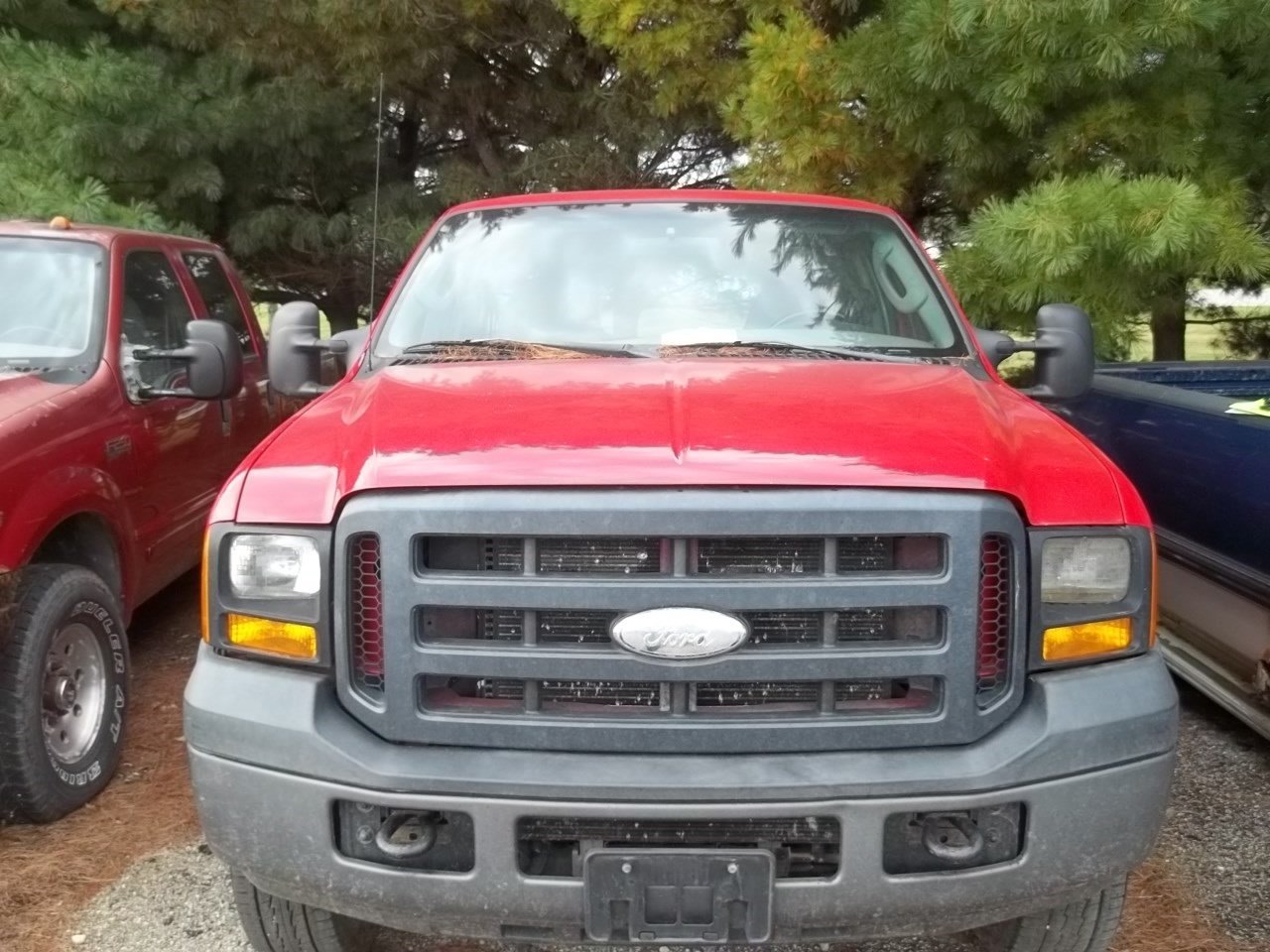 Photo 4