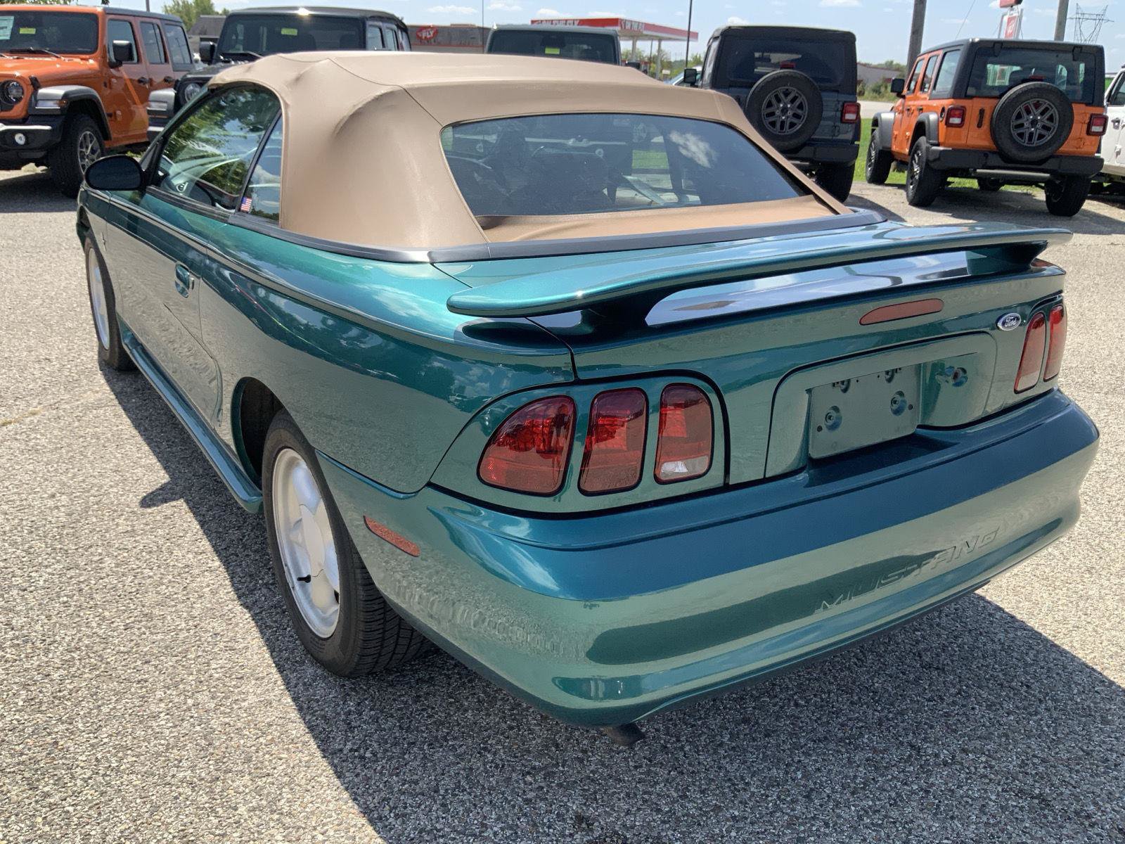 Photo 6