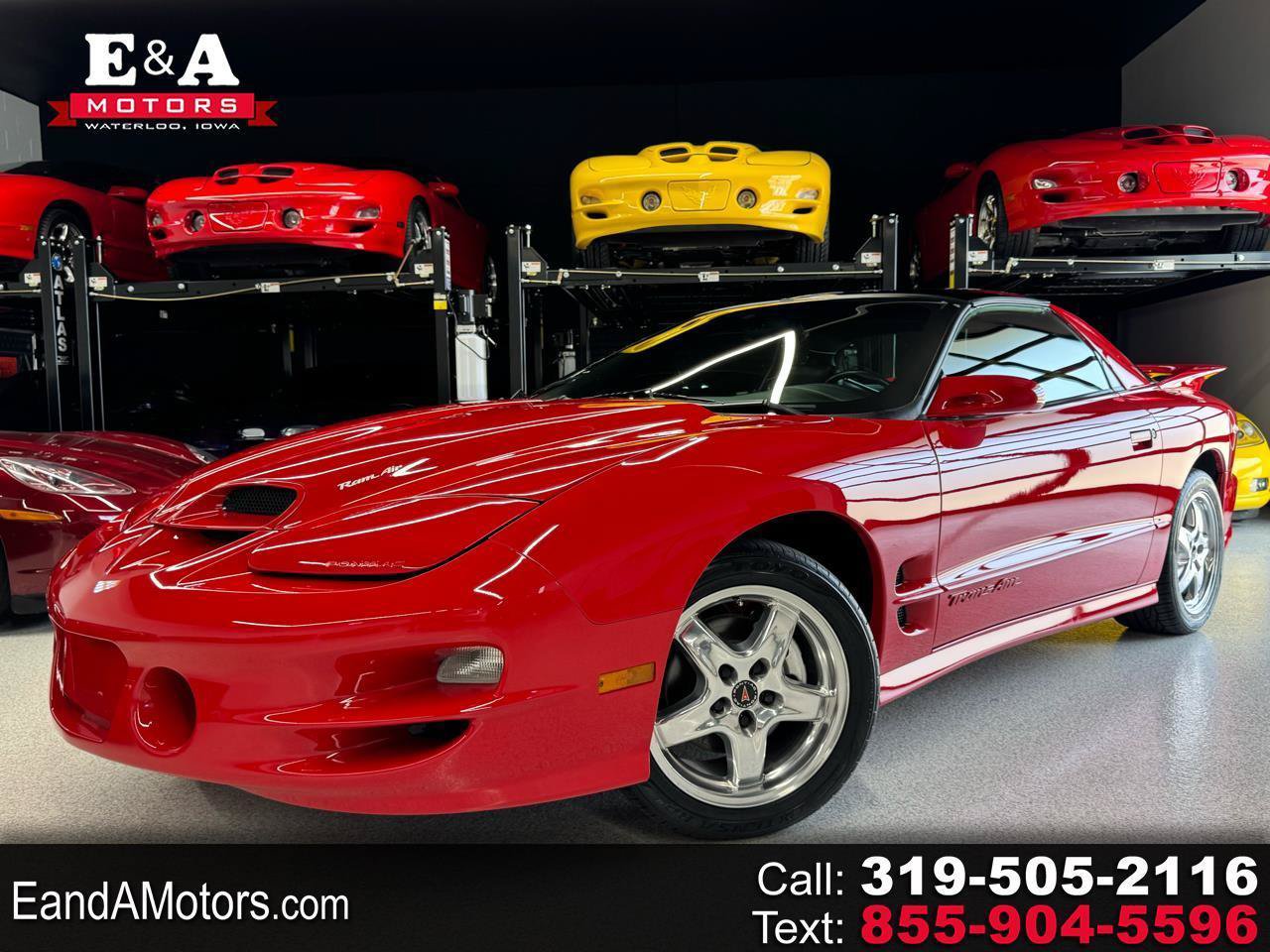 Used 2002 Pontiac Firebird Trans Am