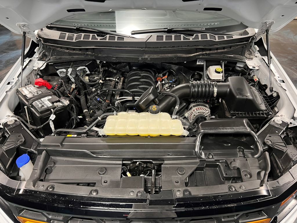 2025 Ford F150 Tremor