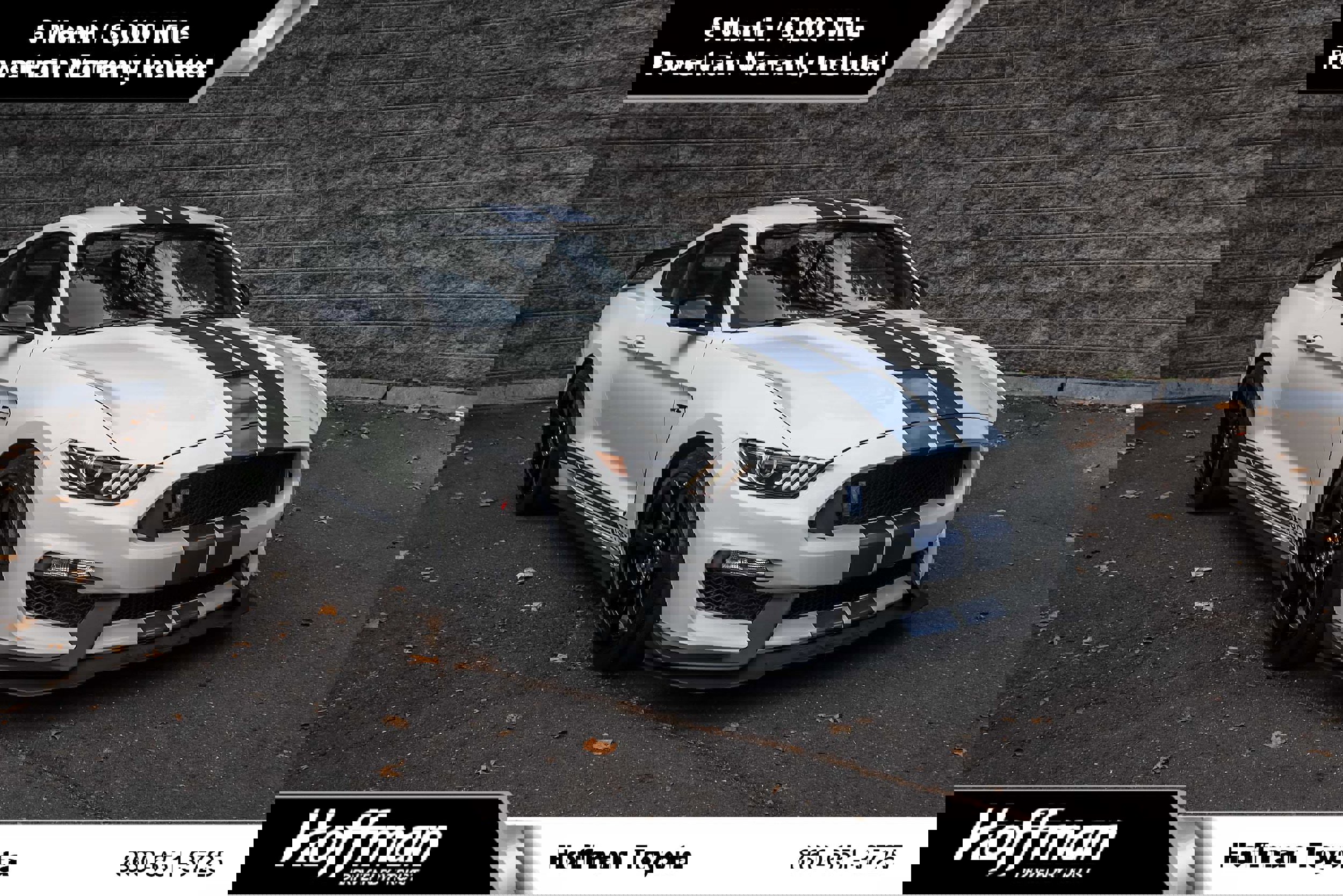 Used 2020 Ford Mustang Shelby GT350R w/ GT350R Equipment Group 920A