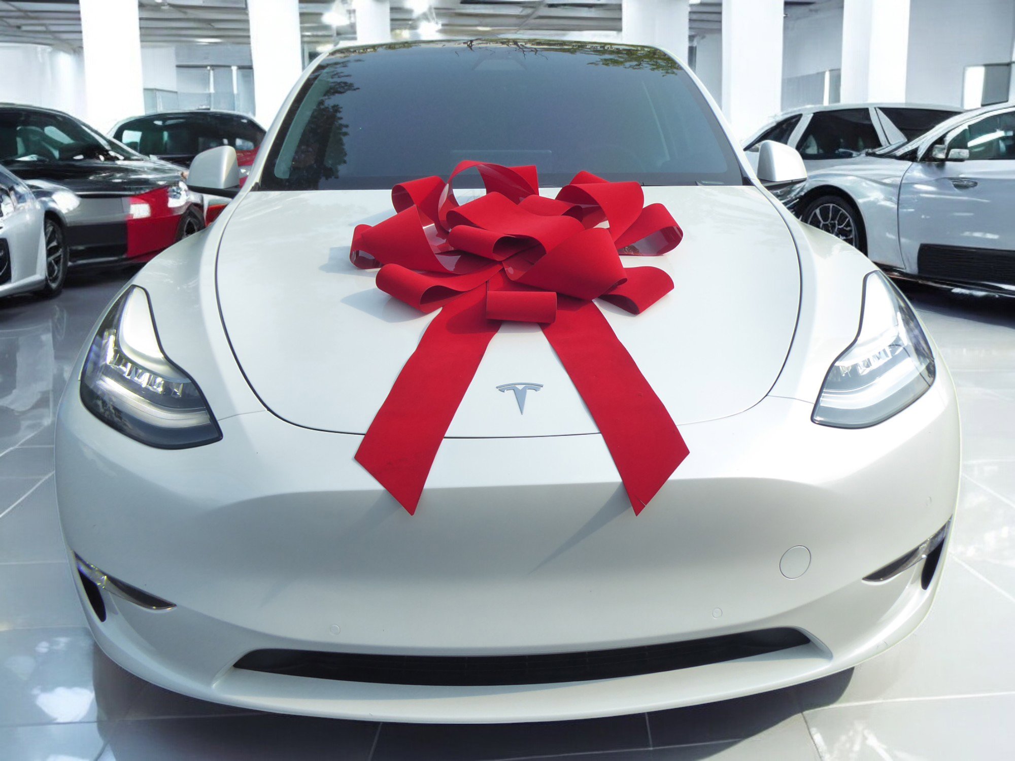 2020 Tesla Model Y Long Range