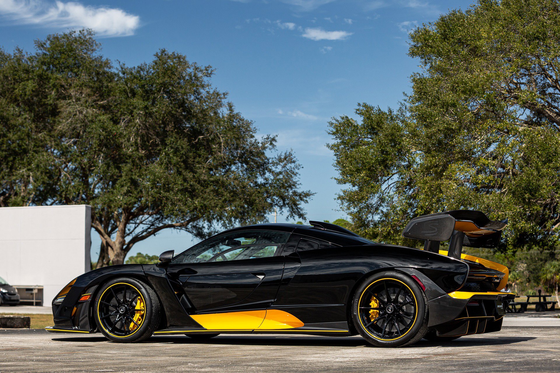 Used 2019 McLaren Senna photo 9