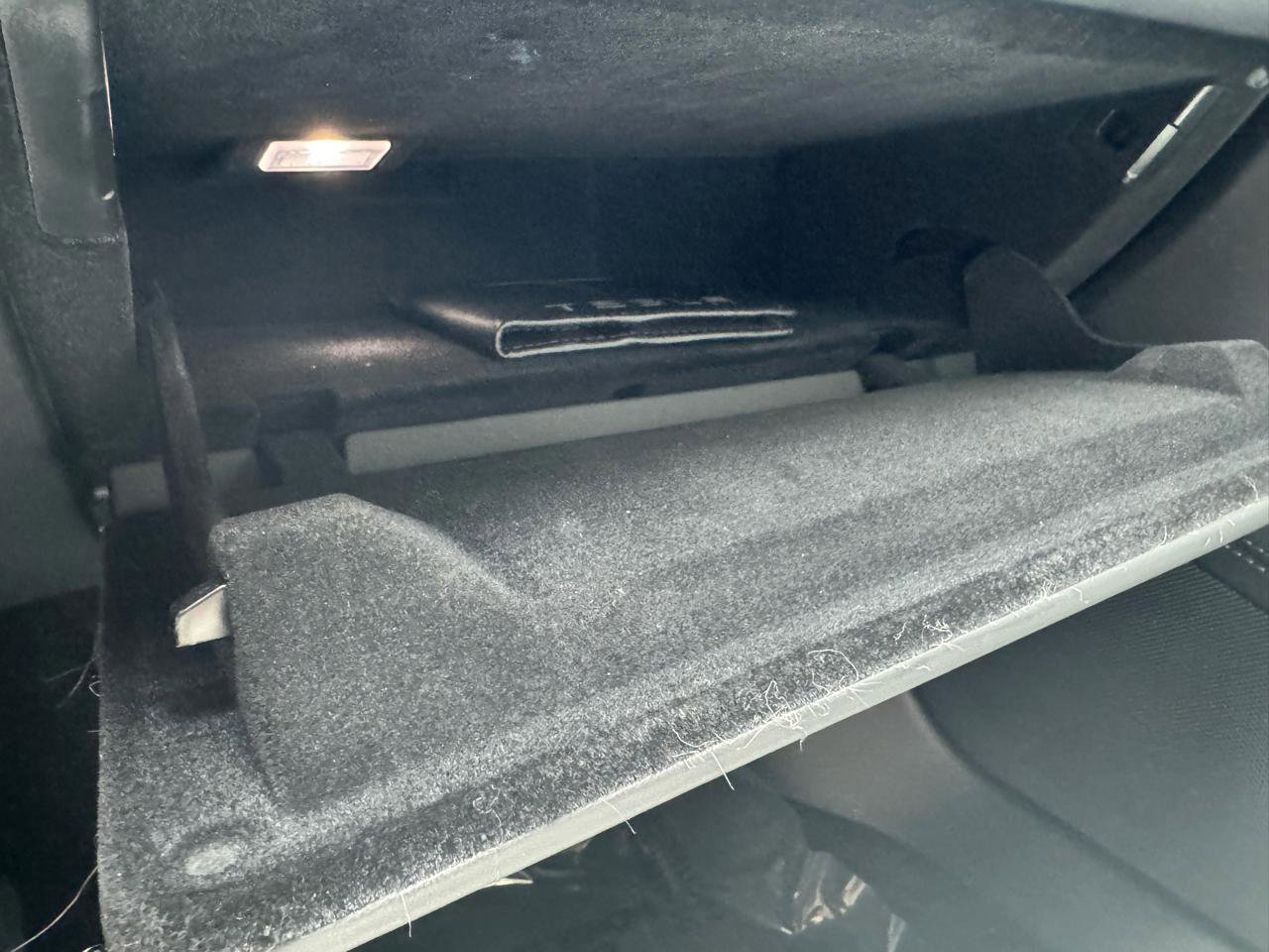 2019 Tesla Model S Performance