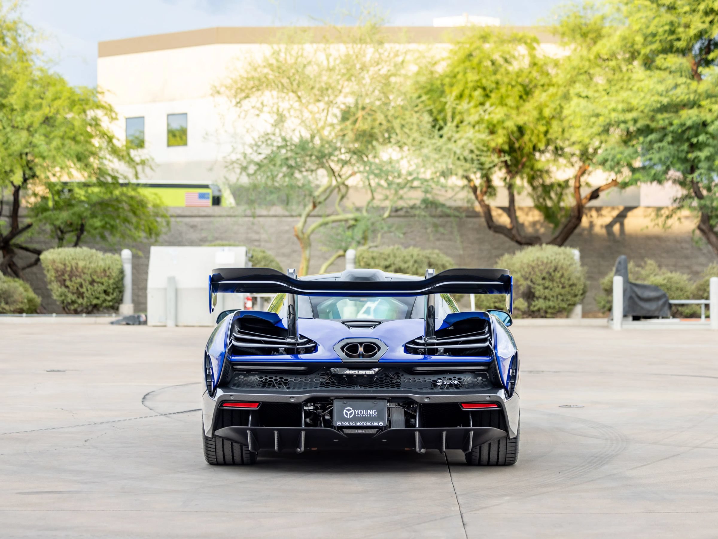 Used 2019 McLaren Senna photo 7