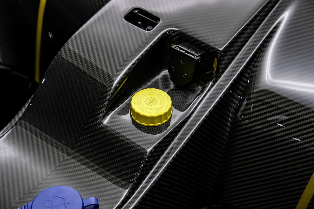 Used 2019 McLaren Senna photo 50