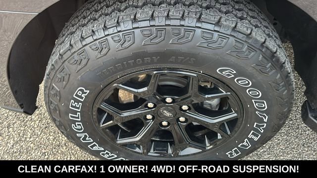 2024 Ford Expedition Timberline