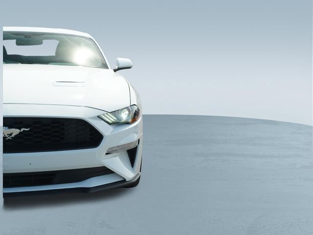 2019 Ford Mustang Coupe