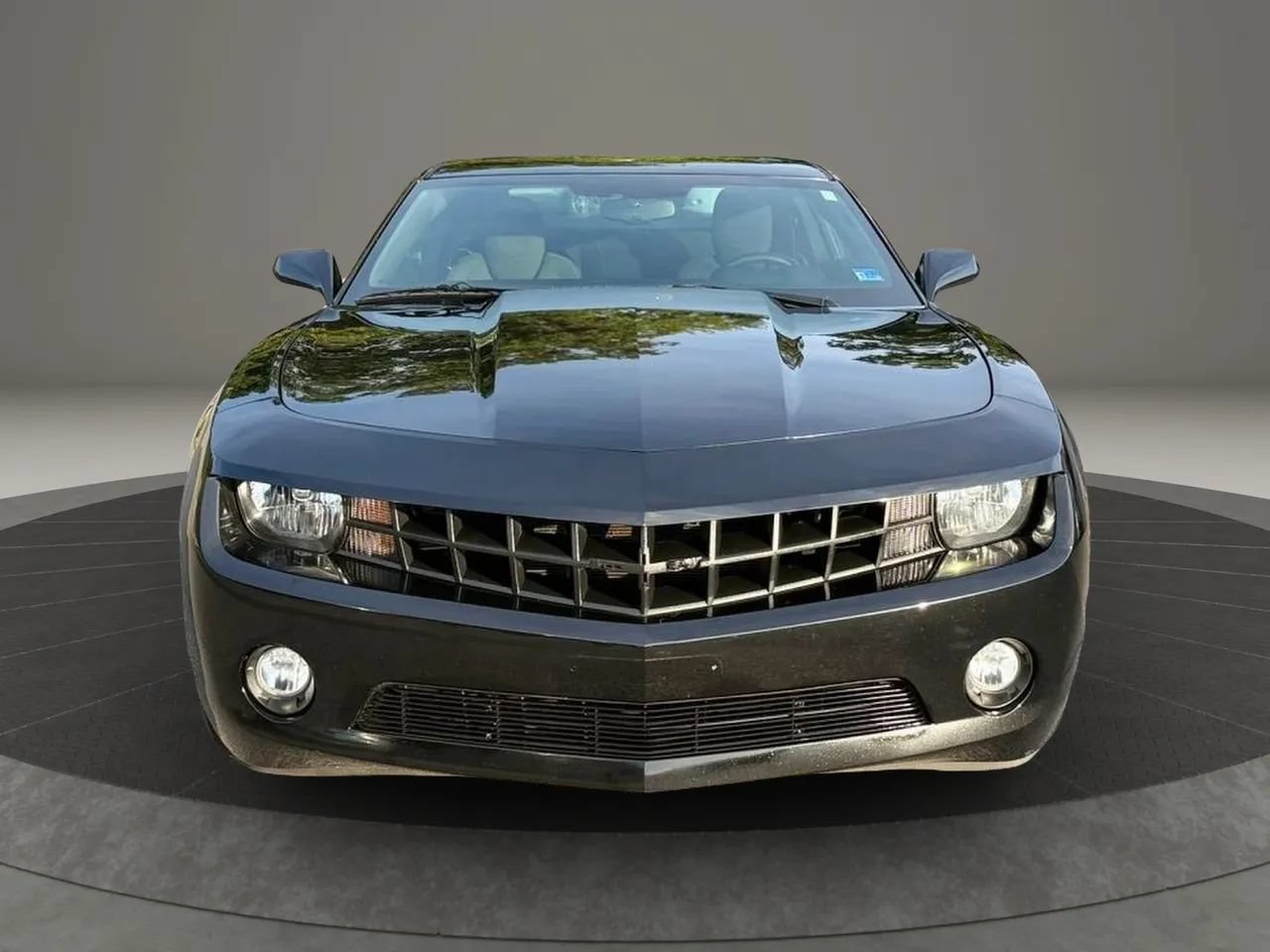 Photo 8