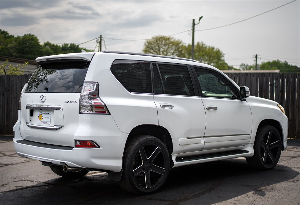 Photo 8