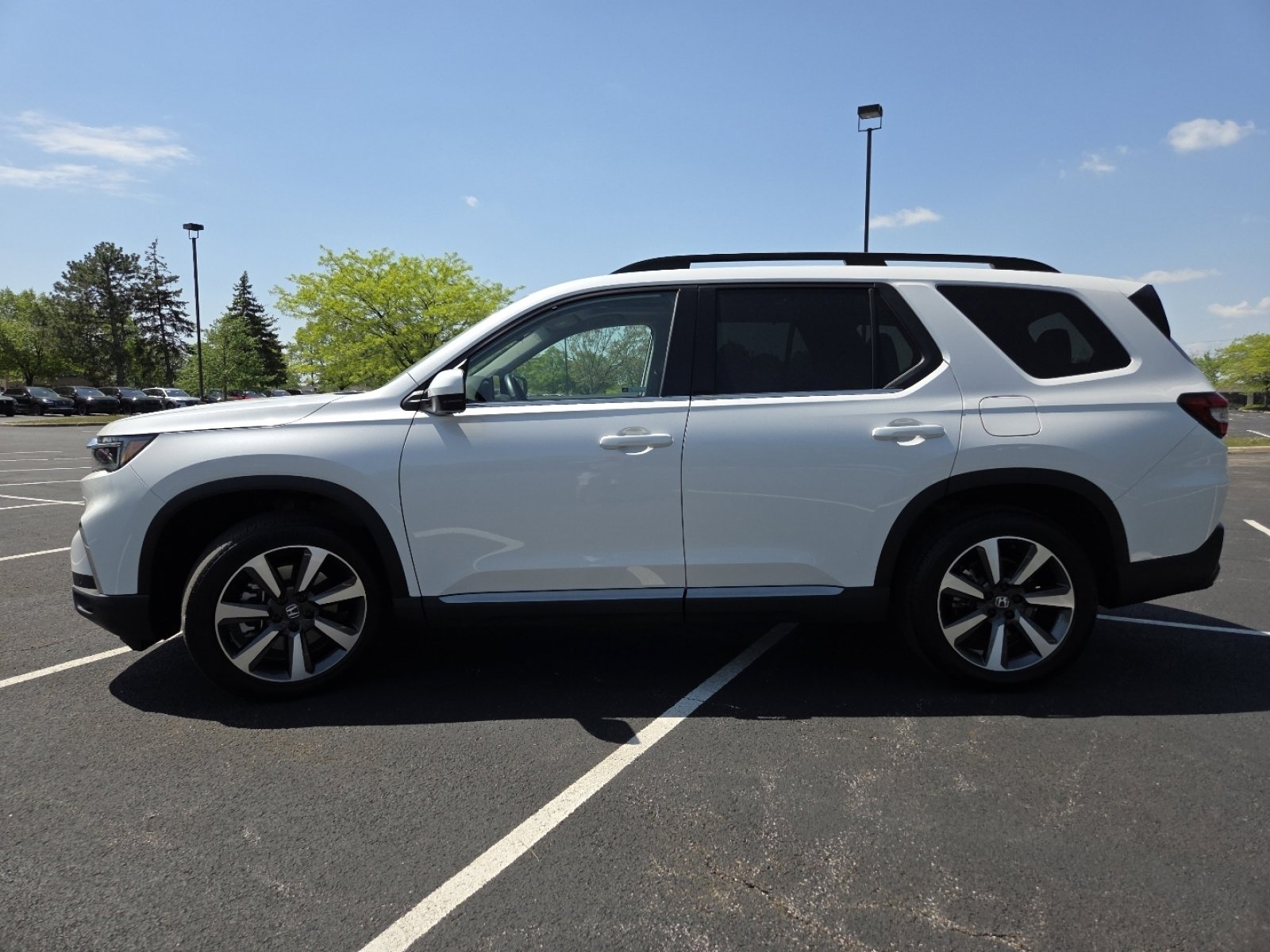 2024 Honda Pilot Elite