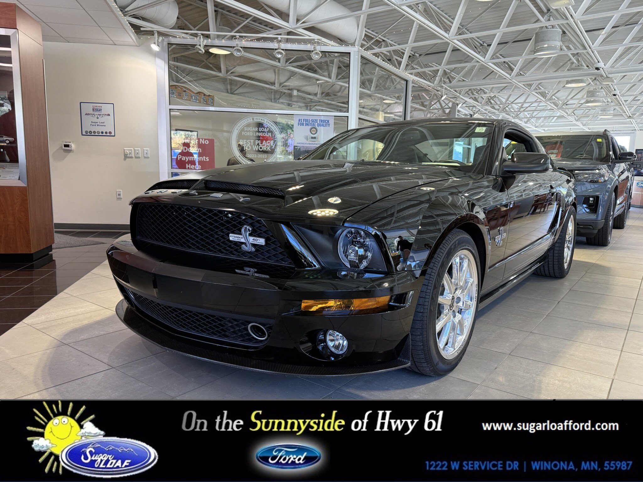 Used 2008 Ford Mustang Shelby GT500