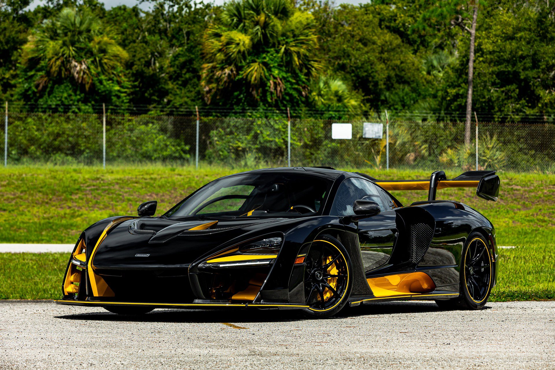 Used 2019 McLaren Senna photo 85