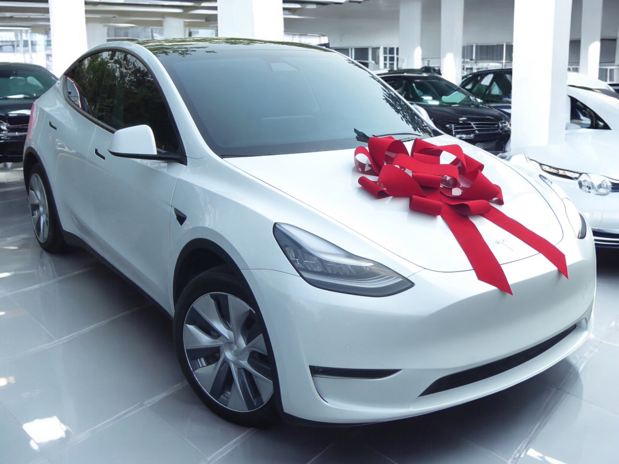 2020 Tesla Model Y Long Range